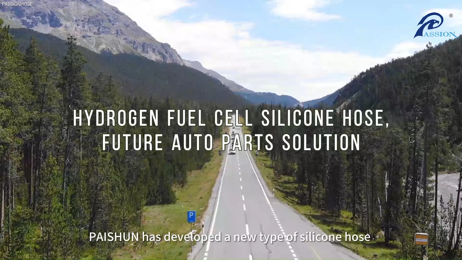 PASSIONHOSE | Bulk silicone hose pipe high quality 1