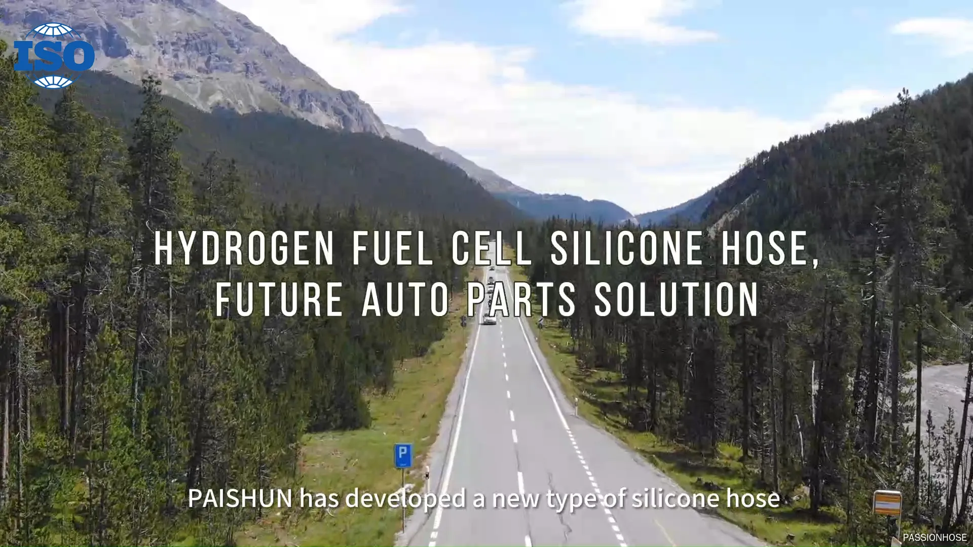 Wholesale silicone hose on sale | PASSIONHOSE 1