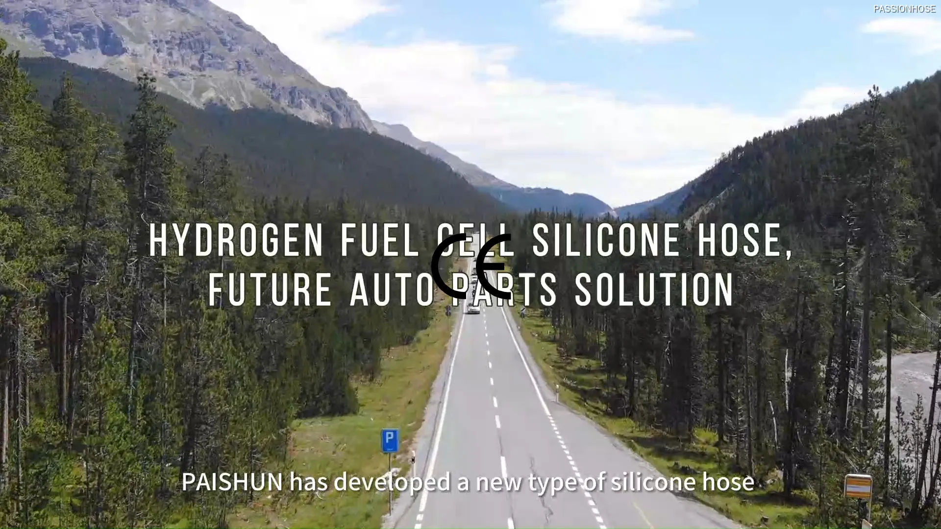 Oem & Odm Silicone Hose for Hydrogen Power Systems at discount | PASSIONHOSE 1