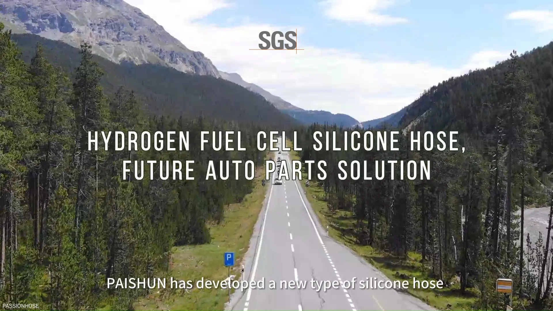 Customized silicone hose on sale | PASSIONHOSE 1