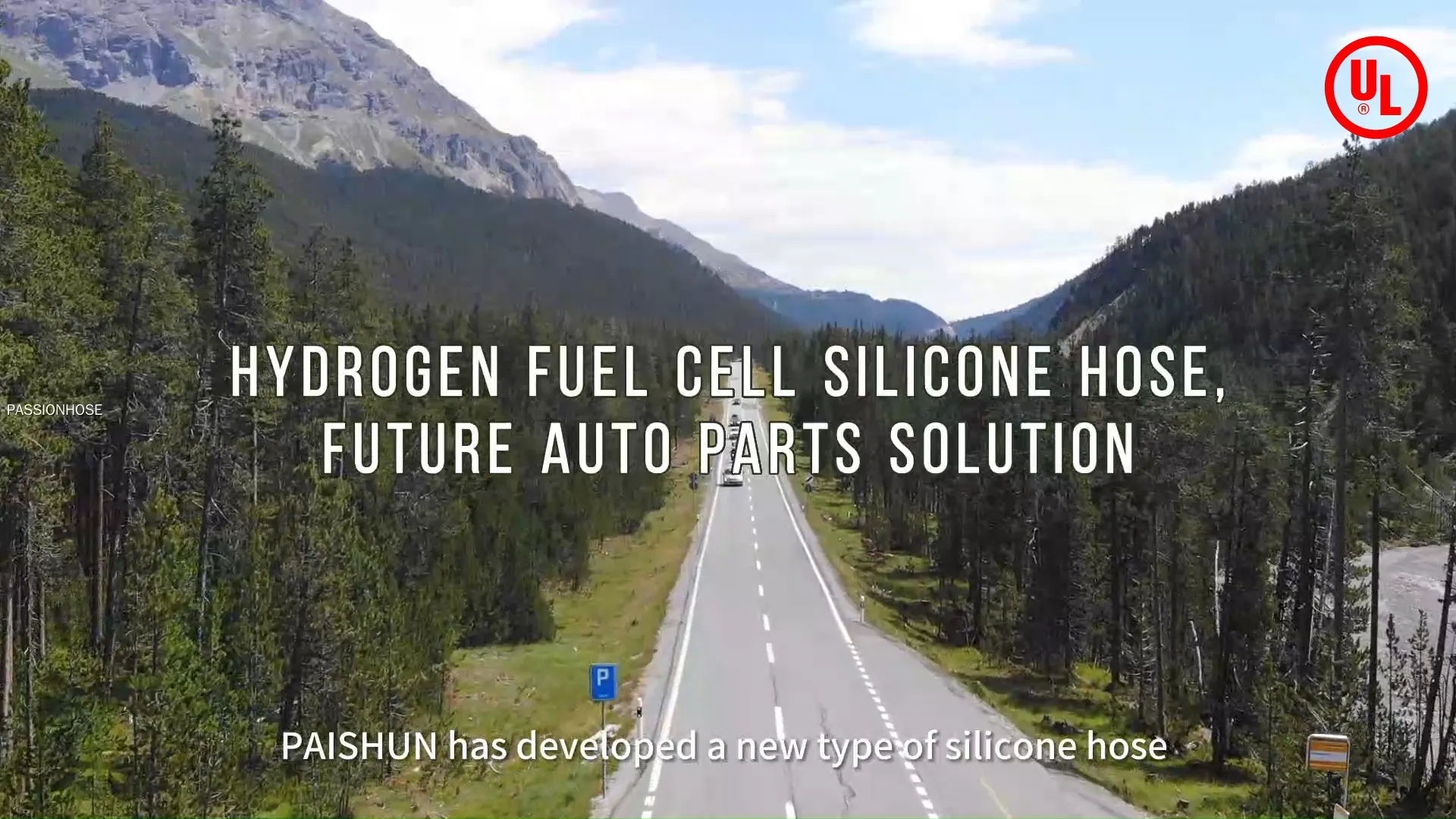 Custom silicone hose on sale Manufacturer | PASSIONHOSE 1