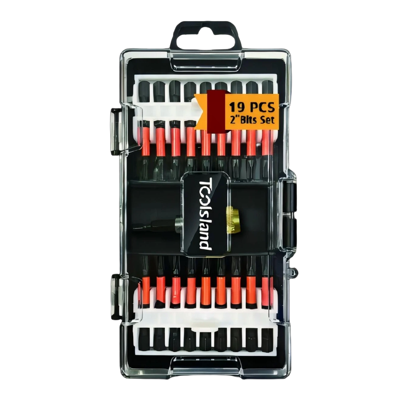19PC 6.3X50(2)mm S2 Bits TLSW2564 Precision set with case 1