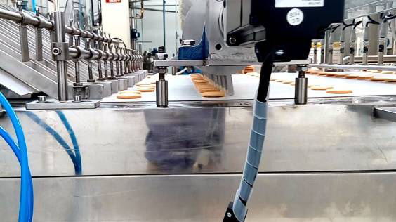 JXJ1000 nanášač sušienok marshmallow s čokoládovou polevou 2