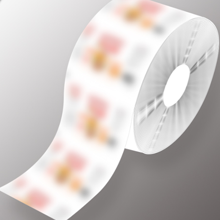 SW-300A Automatic Pillow Type Packing Machine 3