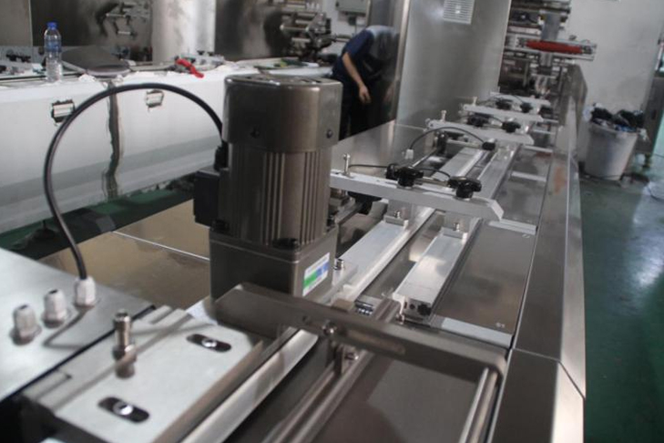 SW-300A Automatic Pillow Type Packing Machine 13