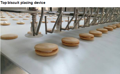 La màquina JXJ1000 s'utilitza per fer pastissos farcits de malví recoberts de xocolata 1