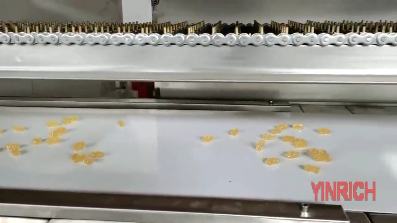 China GD50 Small Jelly Candy /Gummy Production Line for France Customer manufacturers - Yinrich Technology 3