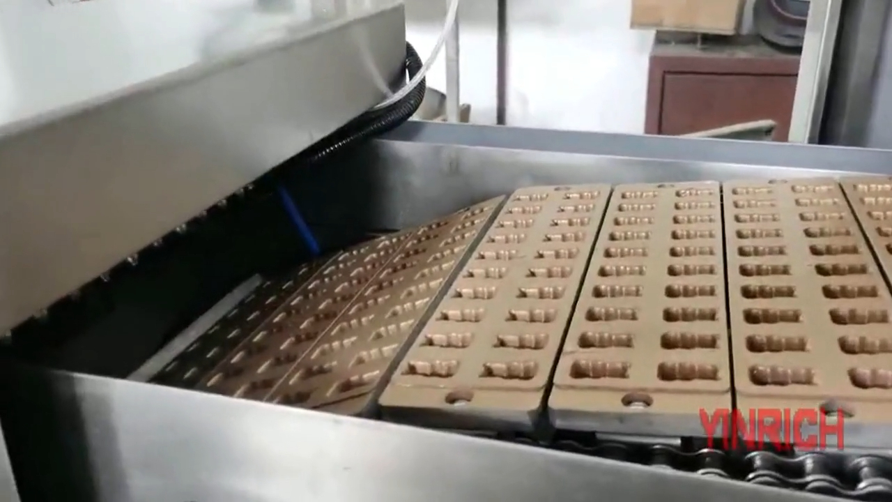 China GD50 Small Jelly Candy /Gummy Production Line for France Customer manufacturers - Yinrich Technology 2