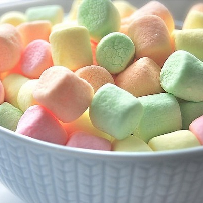 EM300 (300Kgs/h) Mini marshmallow line 2