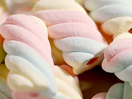 EM Series Extruded Marshmallow Production Line manufacturers-YINRICH 1