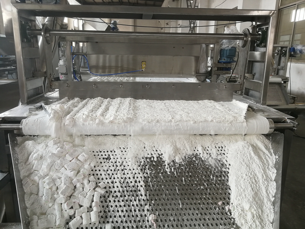 Intro to Another Extruded Marshmallow Line Model Yinrich Technology 6