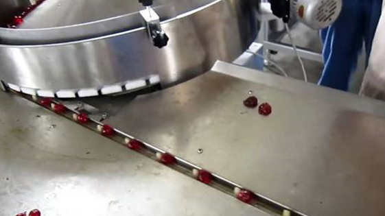 Mesin Pembungkusan Gula-gula Jeli Jenis Bantal TB800 3