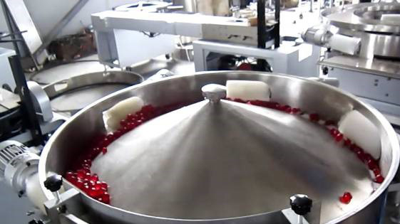 Mesin Pembungkusan Gula-gula Jeli Jenis Bantal TB800 2