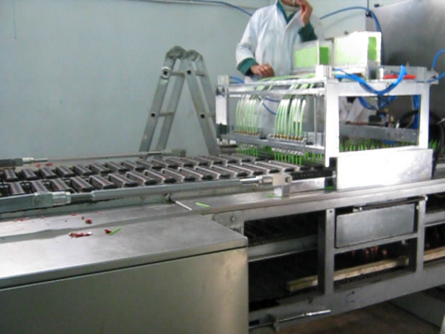 GDL150 Whistle lollipop depositing line 2