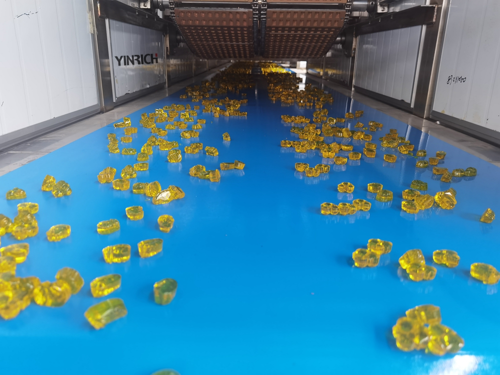 Quality GDQ300 various animal shape jelly candy production line Manufacturer | Yinrich Technology 2
