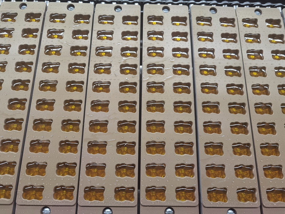 Quality GDQ300 various animal shape jelly candy production line Manufacturer | Yinrich Technology 1