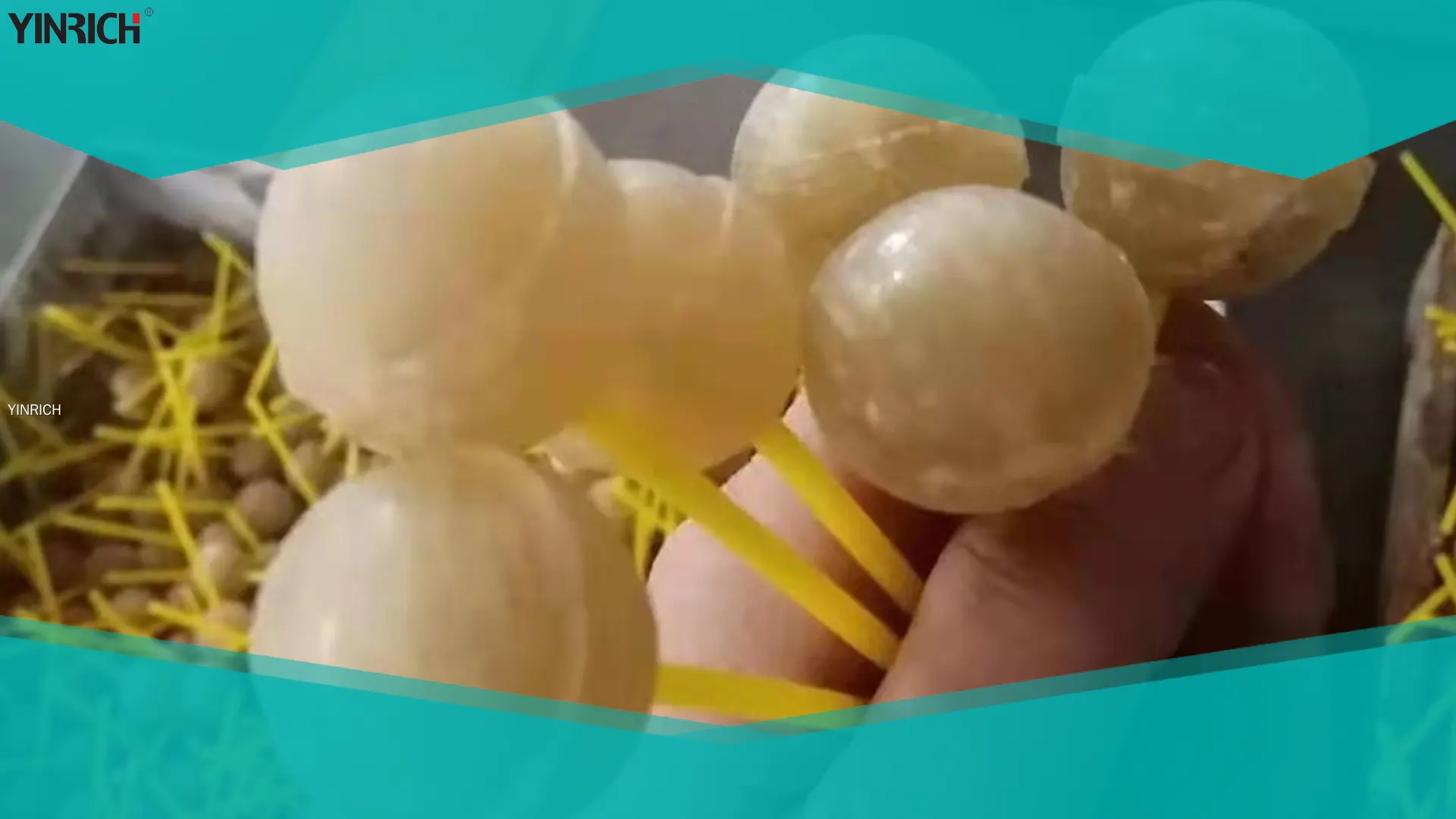 銀瑞科技 | 訂製棒棒糖生產線工廠 1