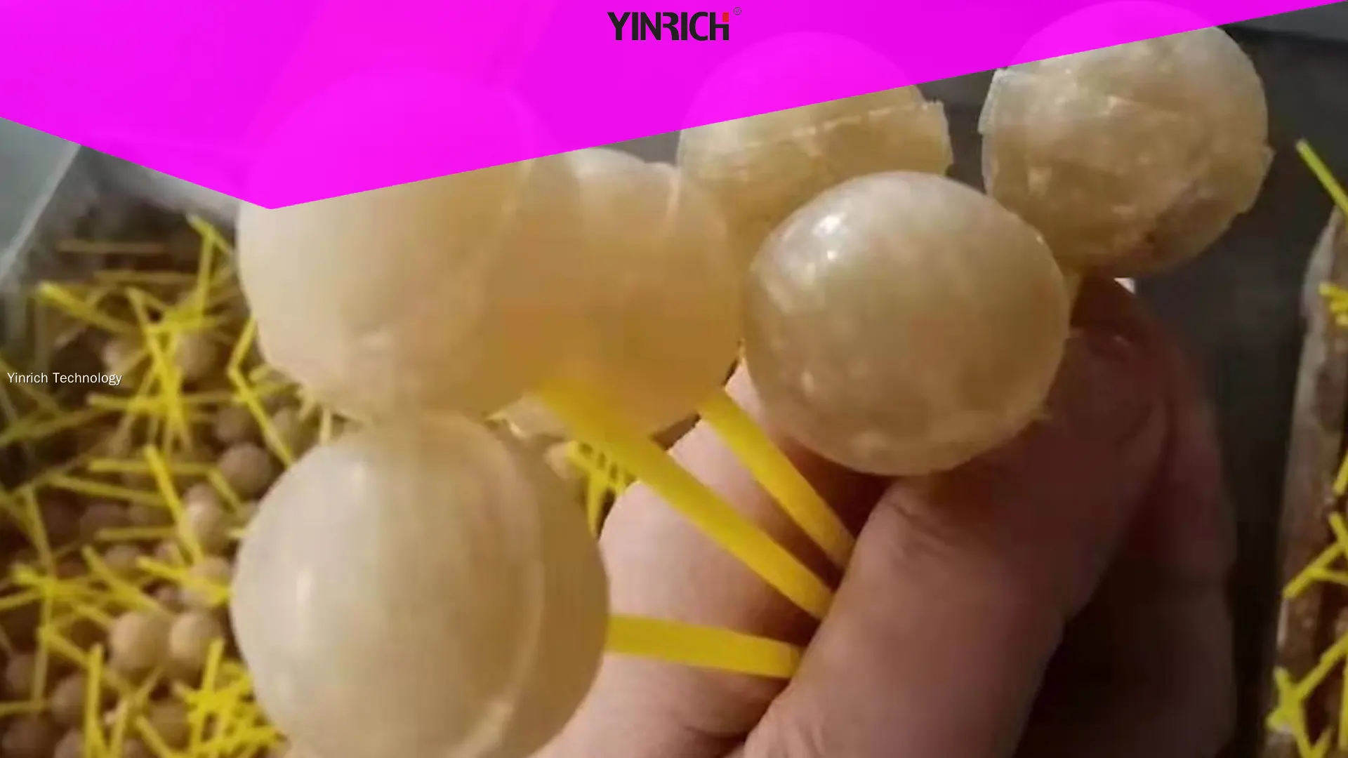 Custom lollipop maker machine manufacturers Manufacturer | Yinrich Technology 1