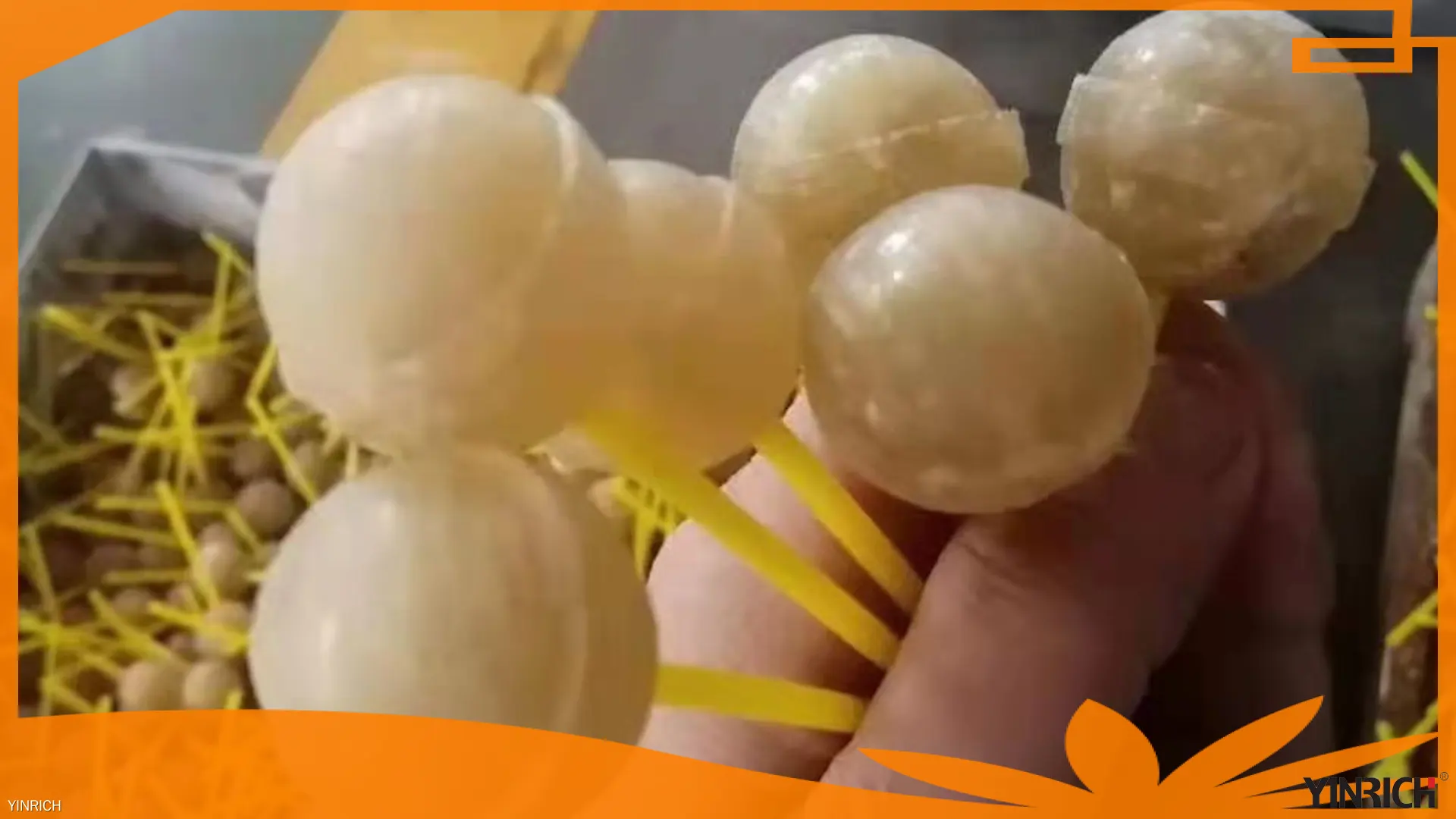 Fornituri bl-ingrossa ta' linji ta' produzzjoni ta' lollipop | Yinrich Technology 1