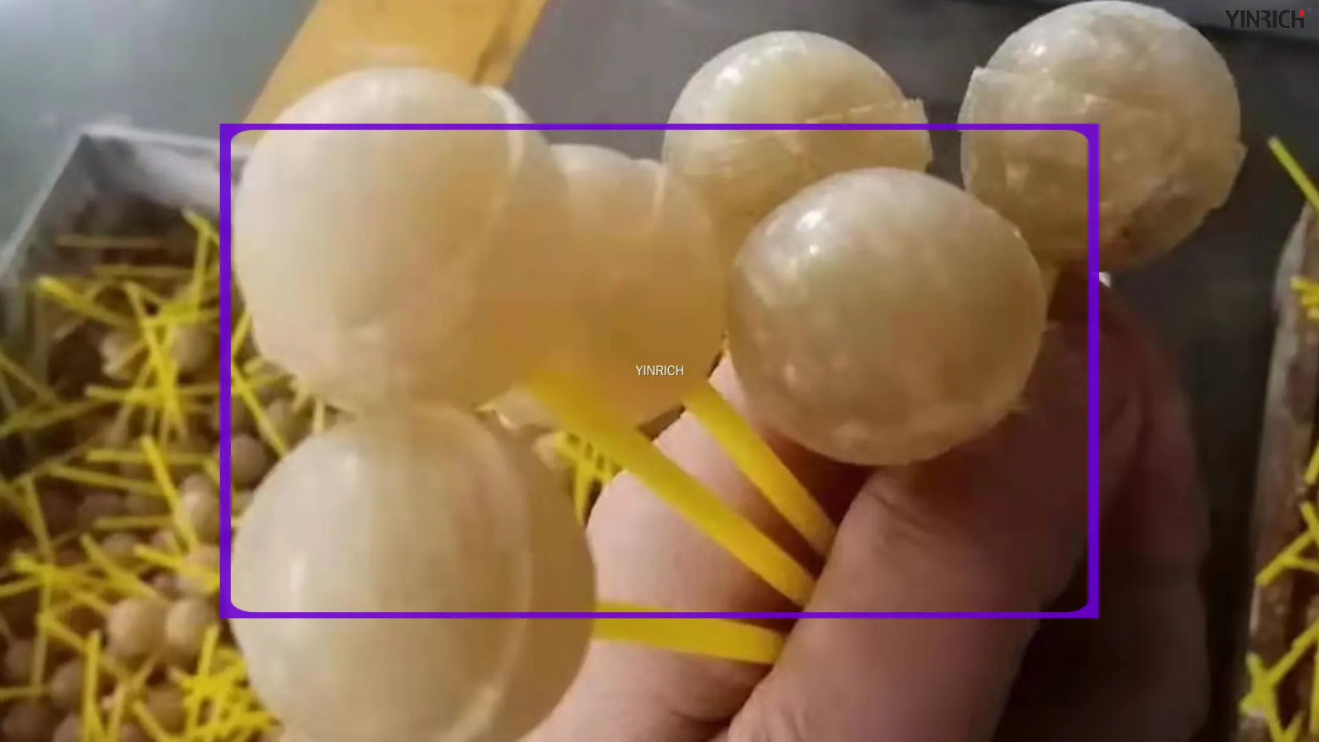 Wholesale turnkey production line factory | Yinrich Technology 1