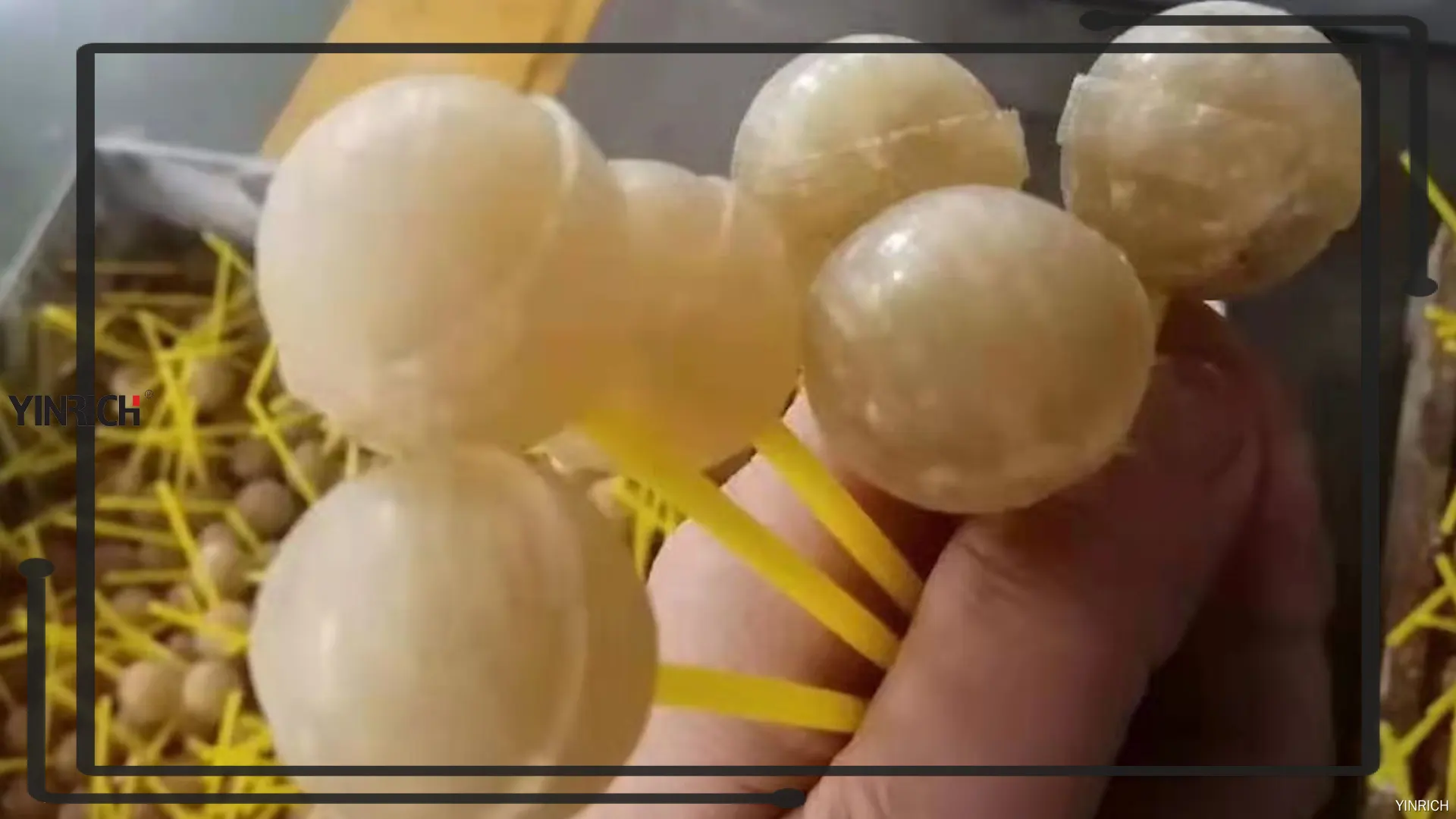 客製化棒棒糖生產線工廠製造商 | 銀瑞科技 1