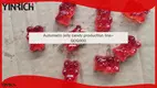 Lini pengisian permen jeli dengan Harga Grosir | Yinrich Technology 1