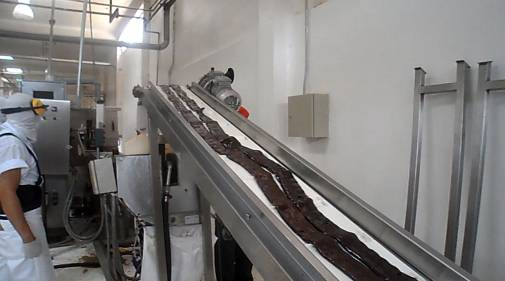 Automatic hard candy die-forming line– High-Speed, Precision Molding 10