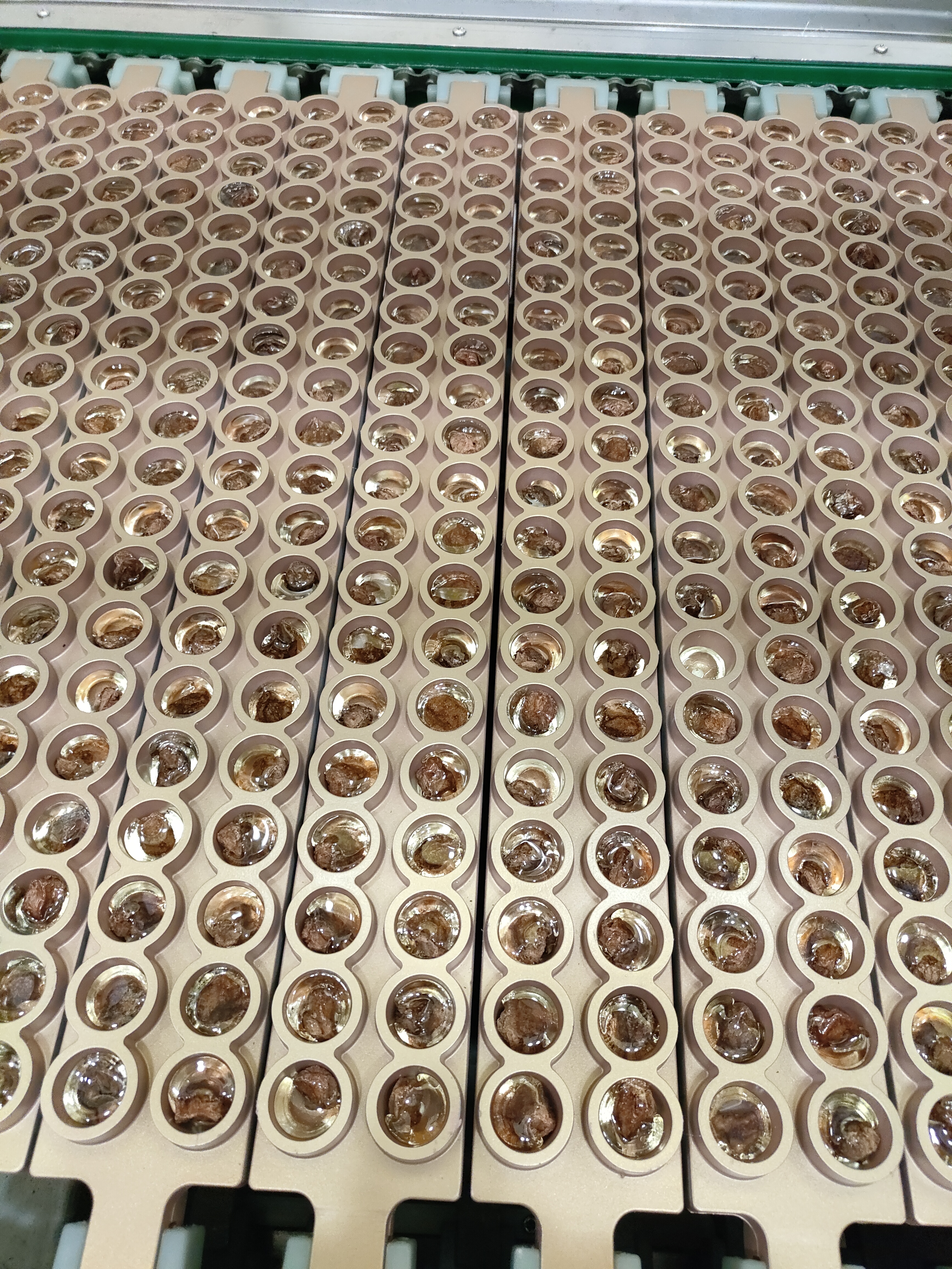 deposit hard candy with center filling 3