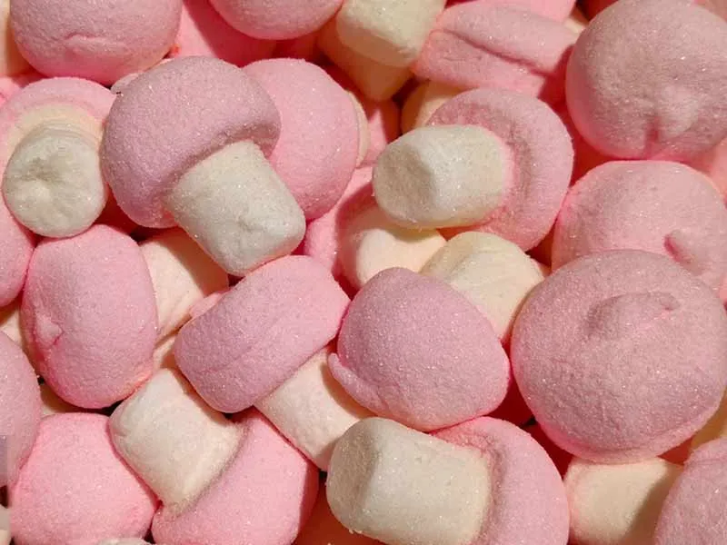 Multi Color Extruded Marshmallow Line EM120 (100~150kg/H) 5