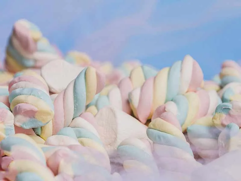 Multi Color Extruded Marshmallow Line EM120 (100~150kg/H) 4