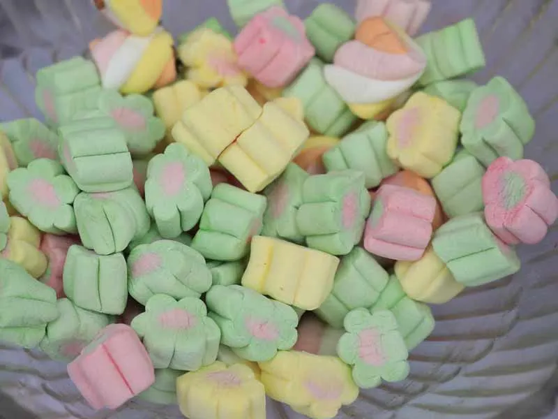 Multi Color Extruded Marshmallow Line EM120 (100~150kg/H) 6