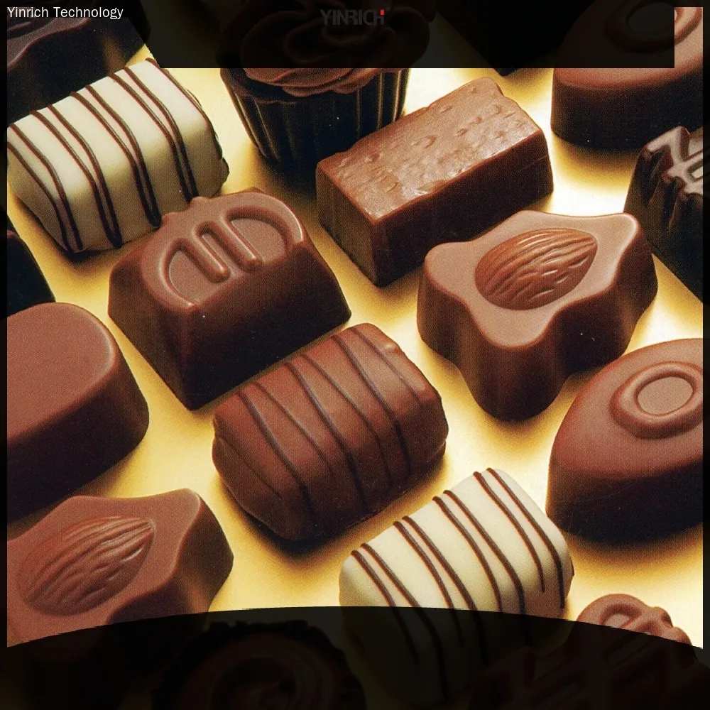 Chocolate Factory Machine - QJ Series Continuous PLC Controlled Moulding Line 1