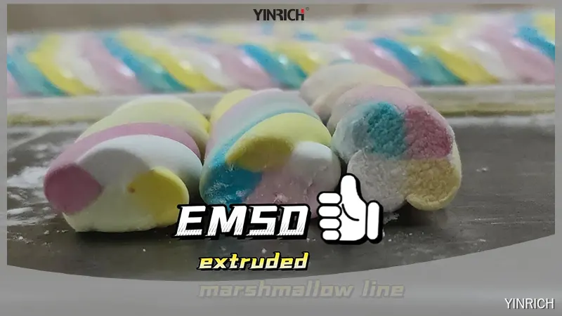 YINRICH 小型棉花糖和軟糖機 50-100公斤/小時 1