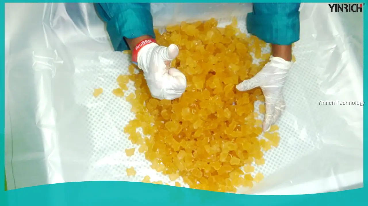 GDQ150 果凍灌注機 – 高產能、多口味糖果生產線 1