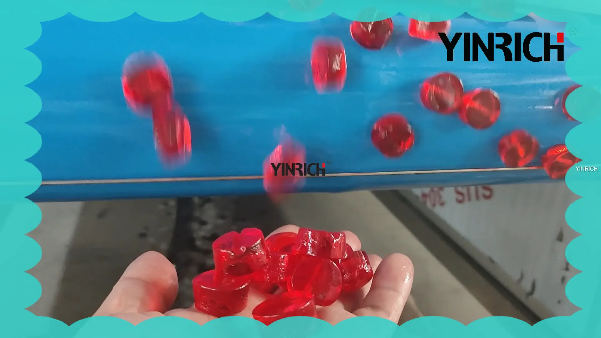 Jalur Penyimpanan Permen Jelly Bebas Pati Yinrich – Kapasitas 50-450kg/jam 1