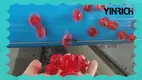 Jalur Penyimpanan Permen Jelly Bebas Pati Yinrich – Kapasitas 50-450kg/jam 1