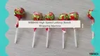 WBB400 High-Speed Small Lollipop Wrapping Machine with Servo Feeding 1