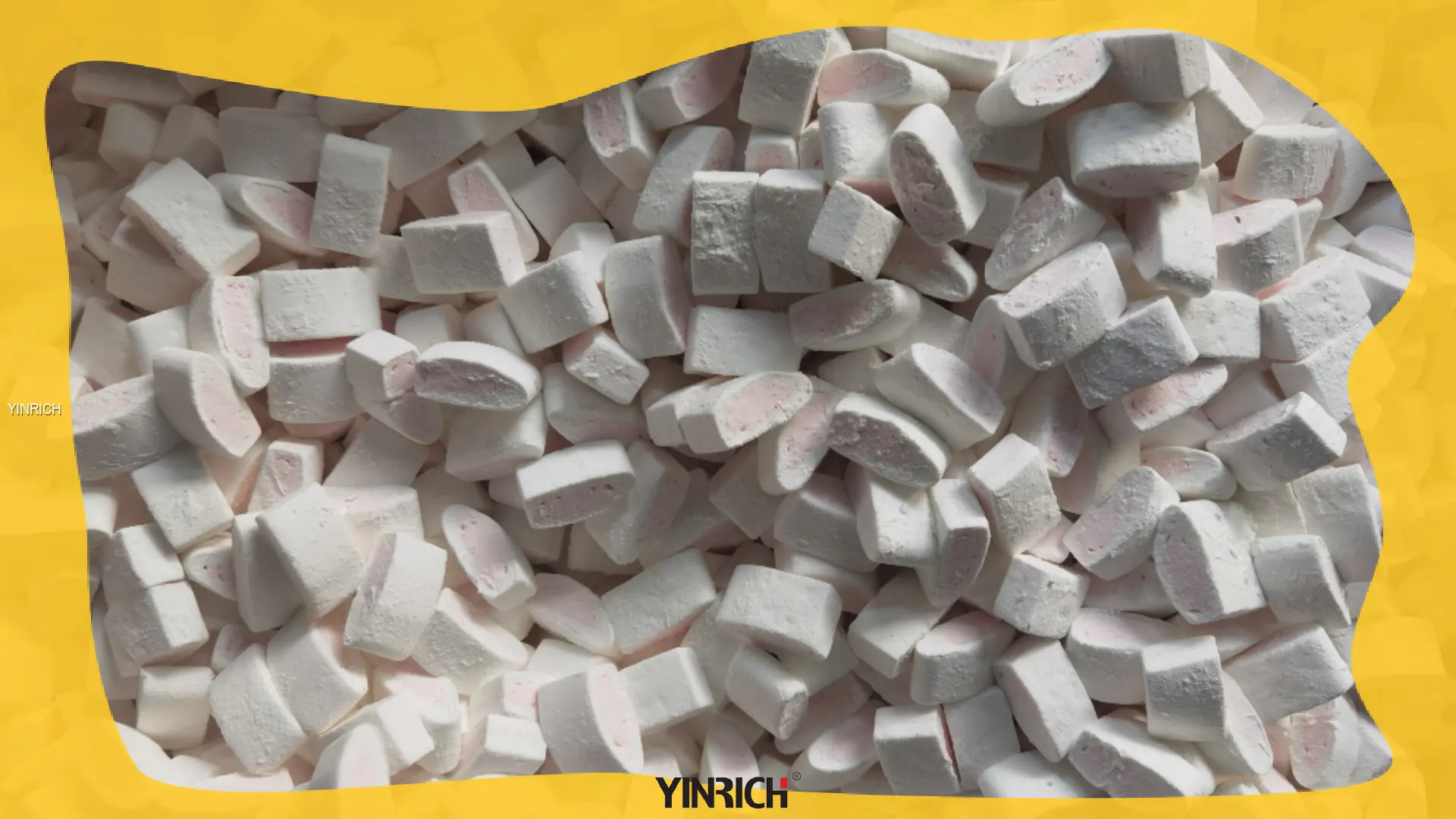 Two-Color Marshmallow Production Line 1