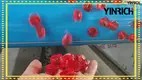 Yinrich 無澱粉果凍糖果填充機：創新軟糖製造商 1