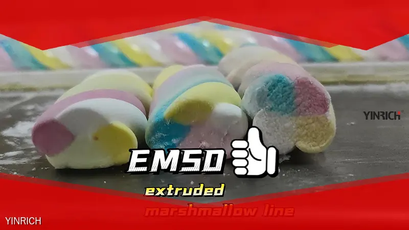 YINRICH 軟糖製造機 - 產能 50-100 公斤/小時 1