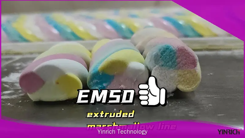 YINRICH 商用軟糖機 - 產能 50-100 公斤/小時 1