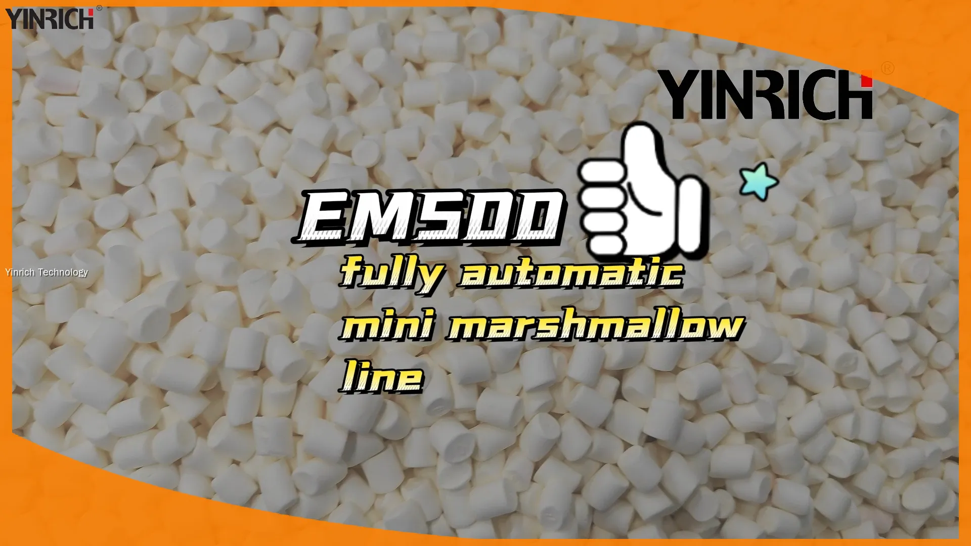 High-Capacity Mini Marshmallow Production Line (EM500)1 1