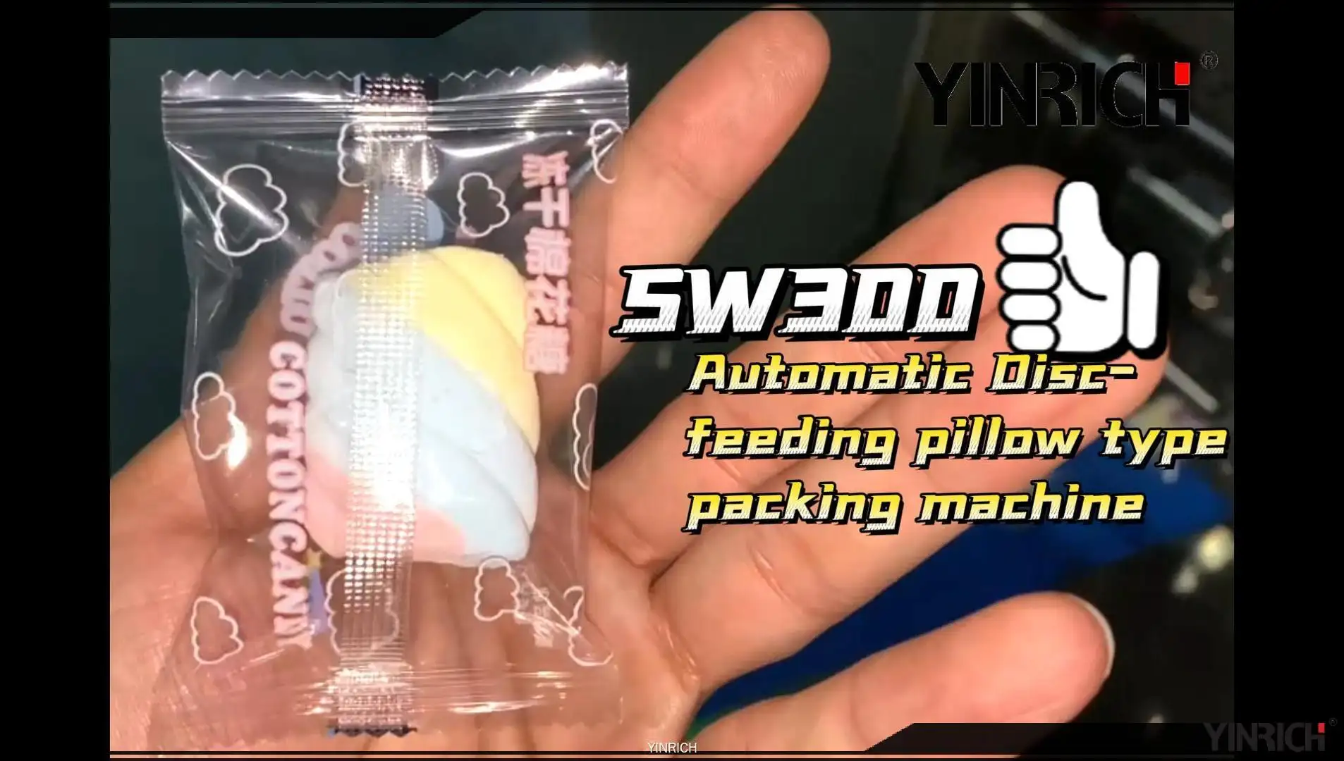Candy Pouch Packing Machine 1