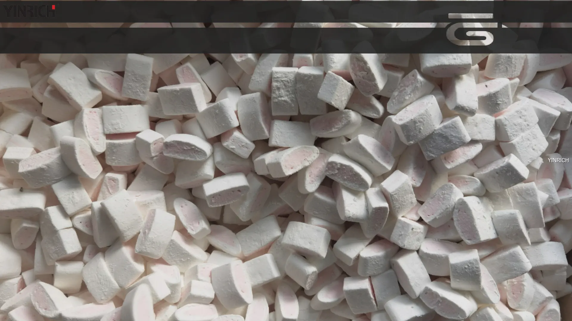 銀力小型棉花糖生產線 1