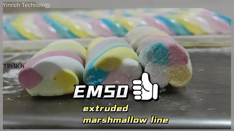 YINRICH Small Capacity Marshmallow Machine - 50-100kg/hr Production 1