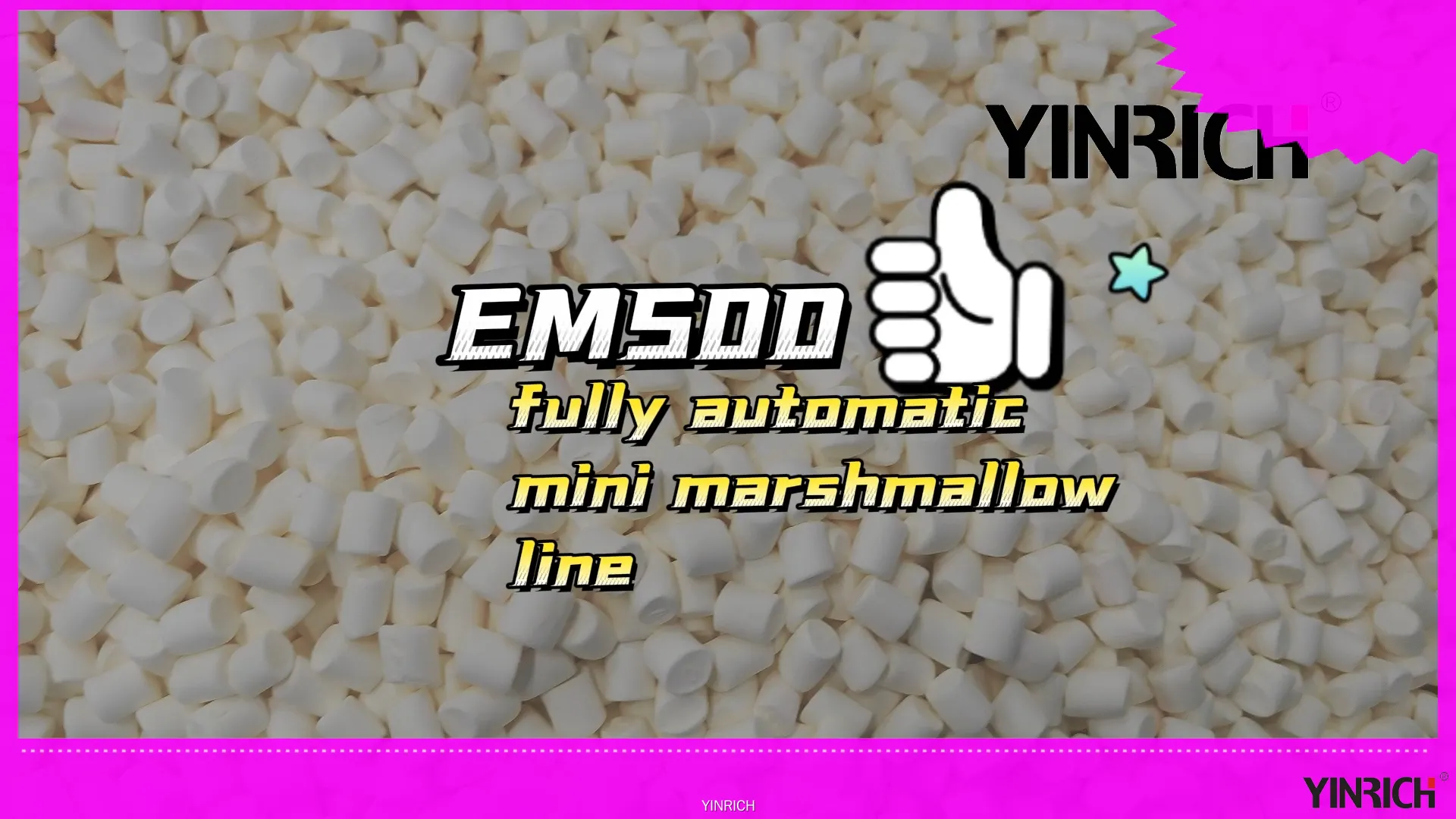 Yüksək Tutumlu EM500 Mini Zefir İstehsal Xətti (500 kq/saat) 1