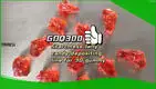 GDQ300 Jelly Depositor Machine 1