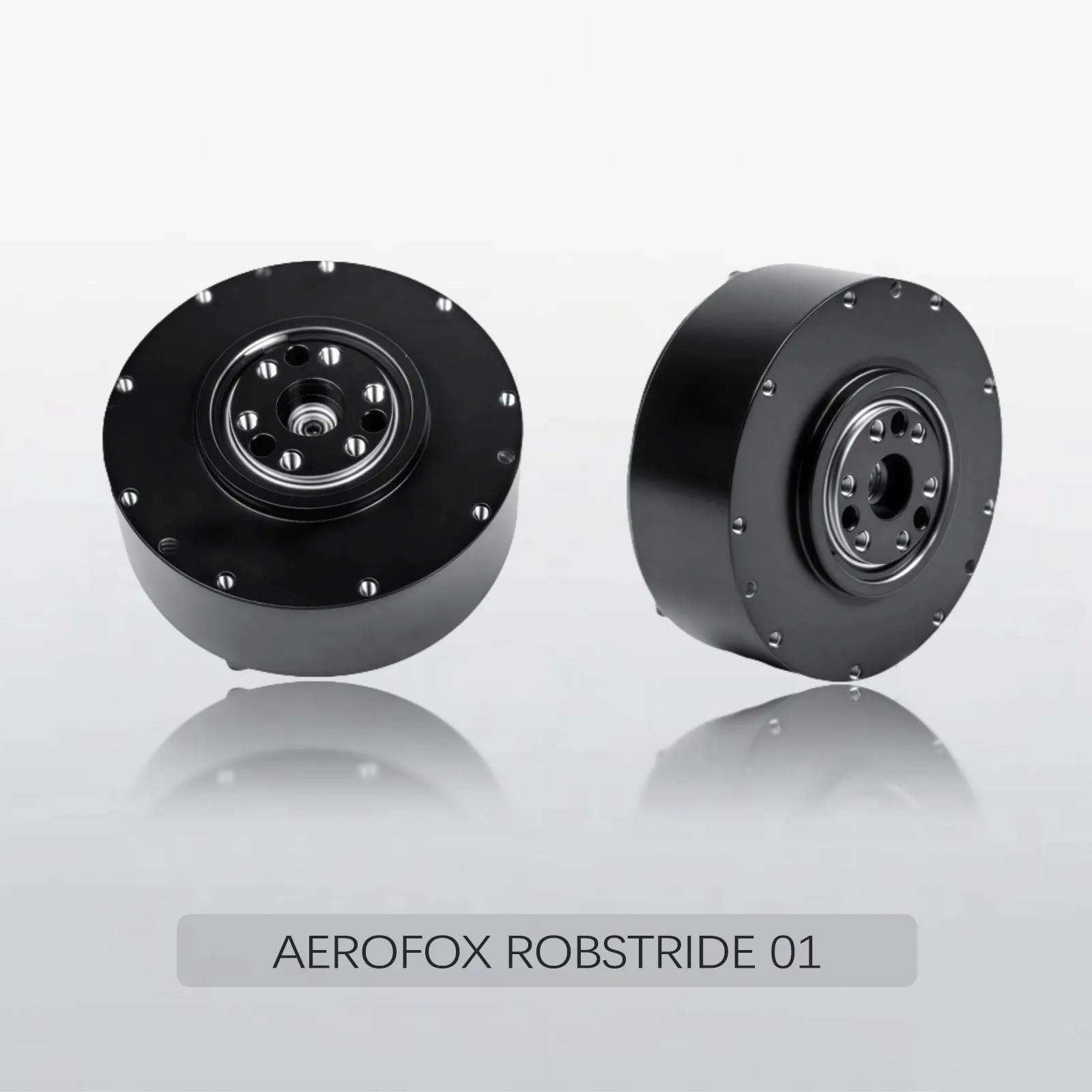 AEROFOX ROBSTRIDE 01 1
