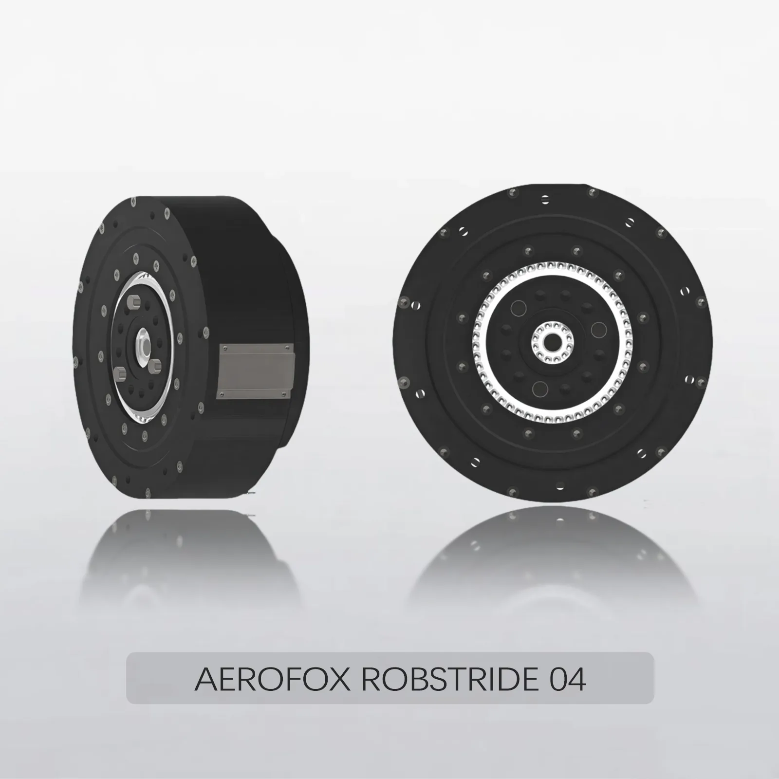 AEROFOX ROBSTRIDE 04 1