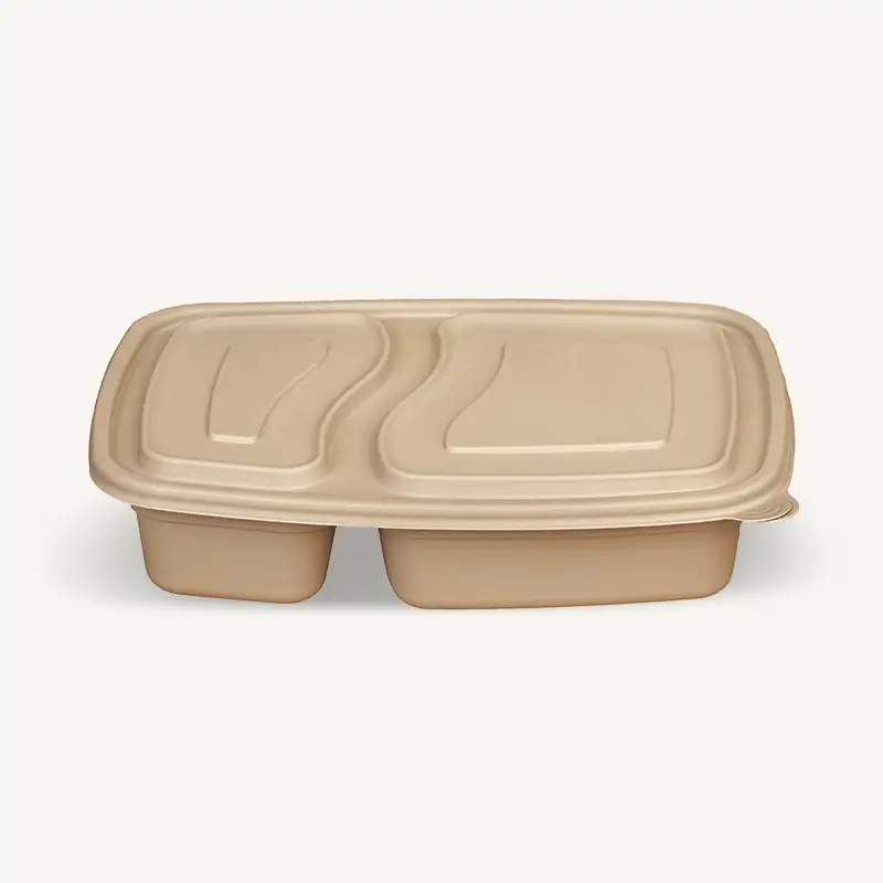 ZSS-2G800 Wholesale BioBamboo Disposable Bamboo Lunch Box 1